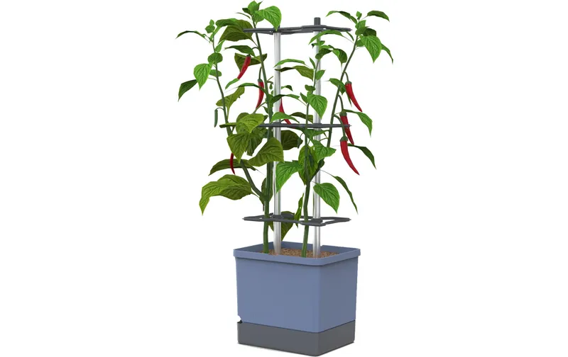 Gusta Garden Aufzuchttöpfe Charly Chili XL blue