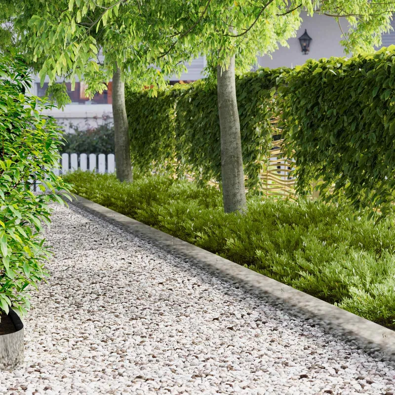 Bordure de Pelouse 30 pc 103 x 20 cm Acier Argenté