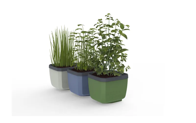 Gusta Garden HERBS BUDDY Kräutertopf 3er Set Trecolore