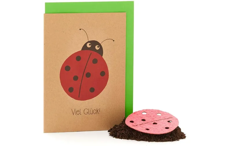the Stadtgärtner Saatgrusskarte Viel Glück Marienkäfer Bunt Karton Saatpapier