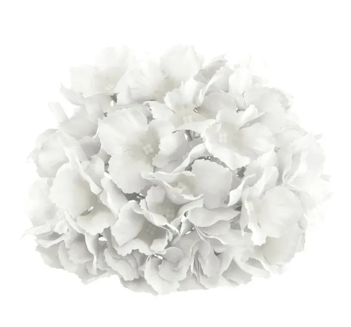 Blütenkopf Hortensie weiss