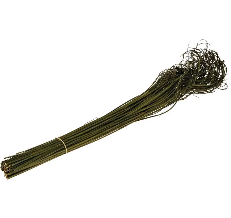 Opiflor Curly Ting moosgrün