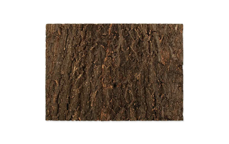 Repti Planet Kork-Rück Wand 58.5 x 41 x 2 cm