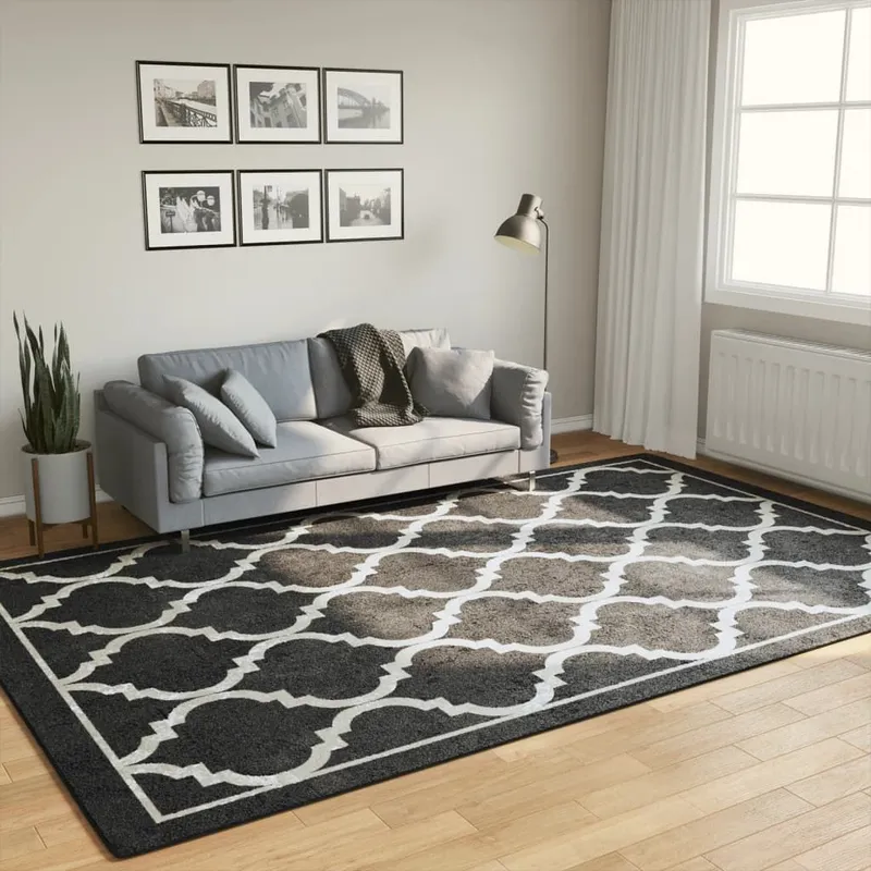 Teppich Waschbar Schwarz und Weiß 190x300 cm