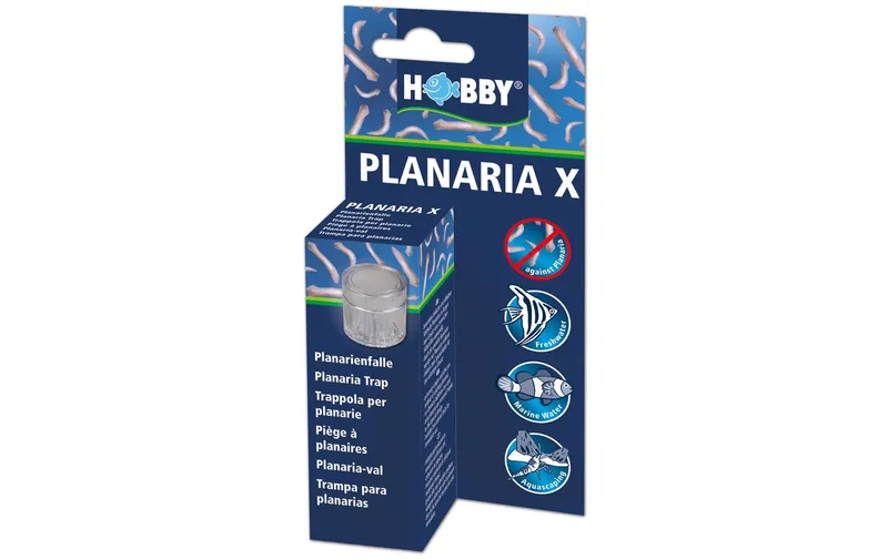 Hobby Aquaristik Zubehör Planaria X