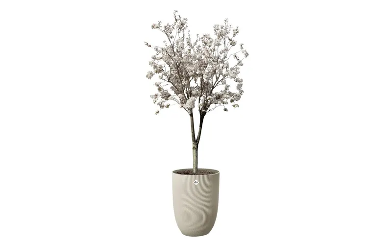 Elho Pflanzentopf Sereh Hoch 40 cm Beige