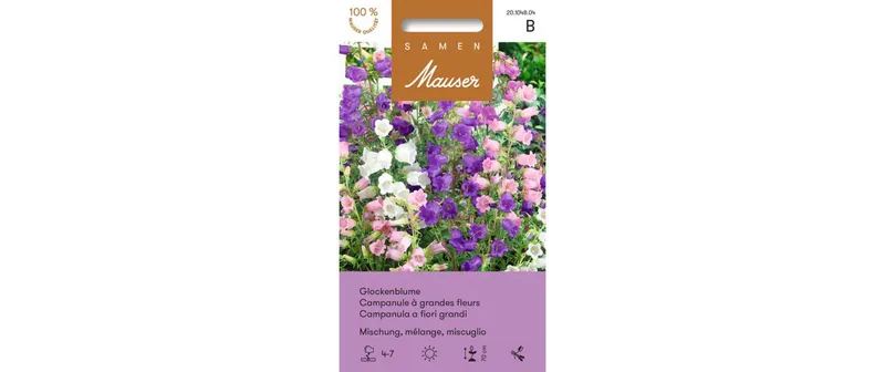 Samen Mauser Saatgut Glockenblume grossblumige Mischung