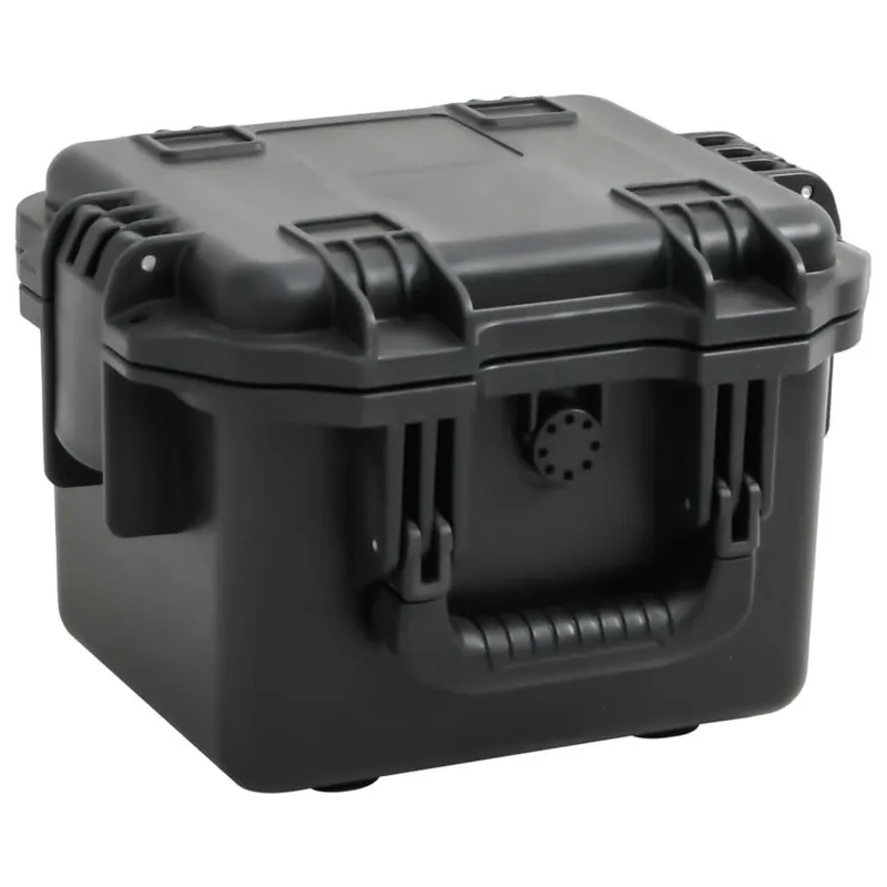 Valise de vol portable Noir 30x24,5x20 cm PP