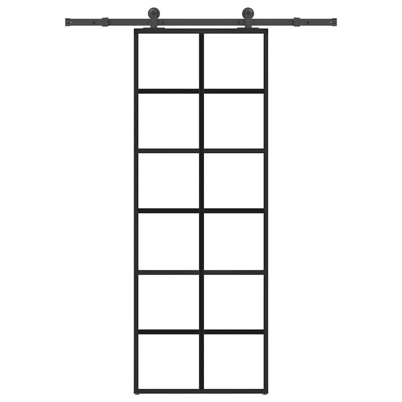 sliding door with Beschlag 76x205 cm ESG-glass & aluminium