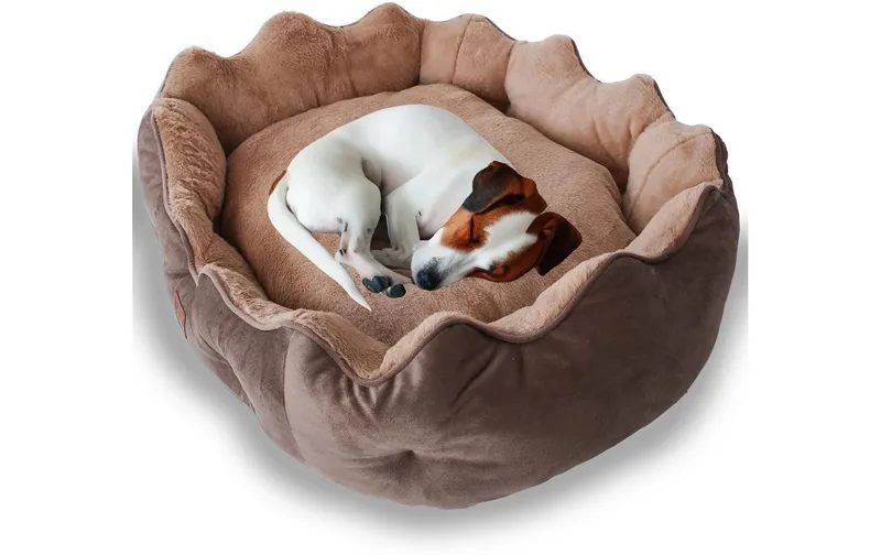 Paws & Whiskers Hunde-Bett Elsa Dog L Braun