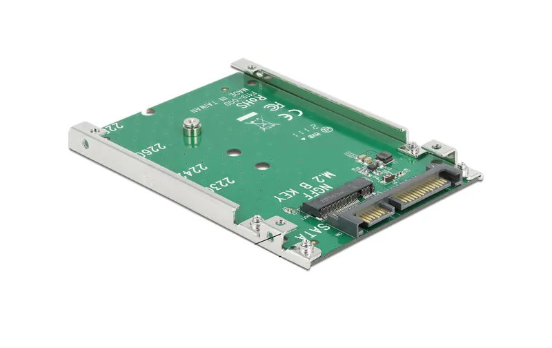 Delock 2.5"-Adapterplatine per M.2-Module