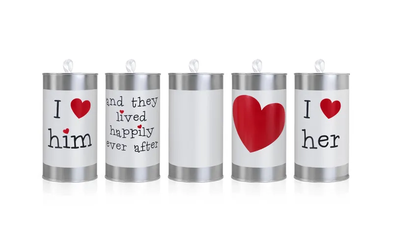 Partydeco Hochzeitsaccessoire Autodeko Blechdose Silber/blanc/rouge
