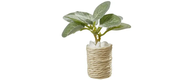 HobbyFun Mini-Utensilien Zimmerpflanze