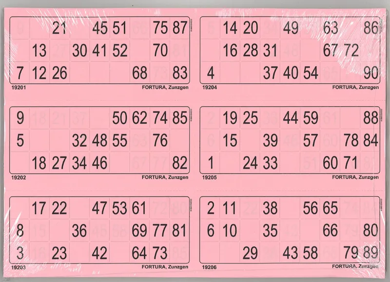 6er Lottoblätter pink