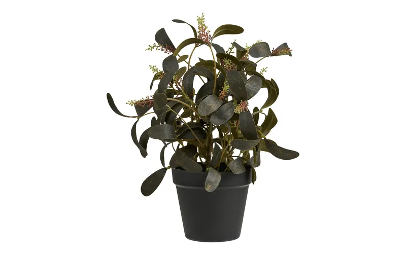 House Nordic Kunstpflanze 35 cm