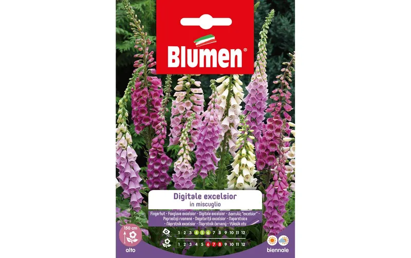 Blumen Saatgut Fingerhut Excelsior Mix