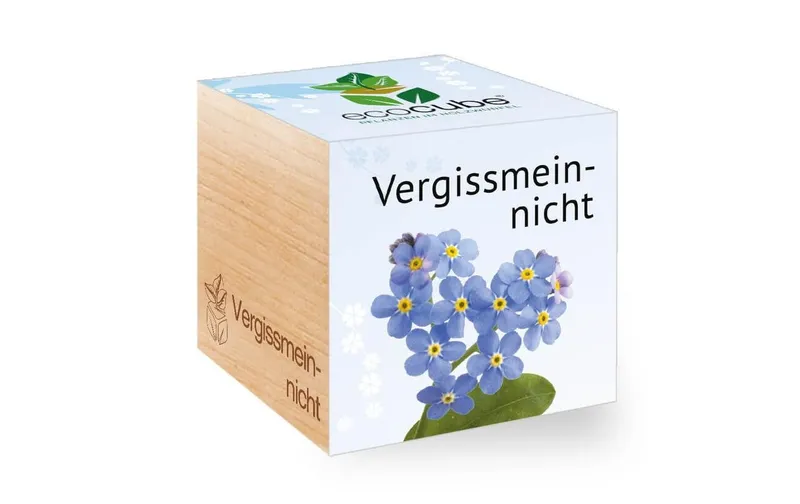 Feel Green Ecocube Vergissmeinnicht