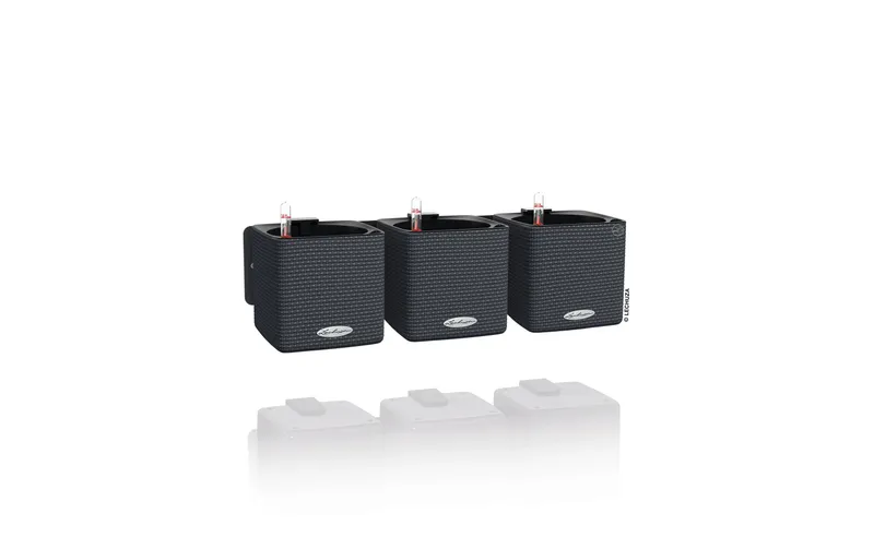 Lechuza Blumentopf Green Wall Home Kit CO Schwarz
