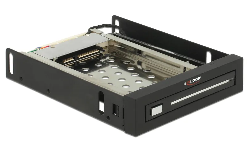 Delock Wechselrahmen 3.5" Mobile Rack pour 1x 2.5"