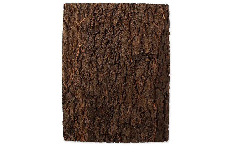 Repti Planet Kork-Rück Wand 43.5 x 56 x 2 cm