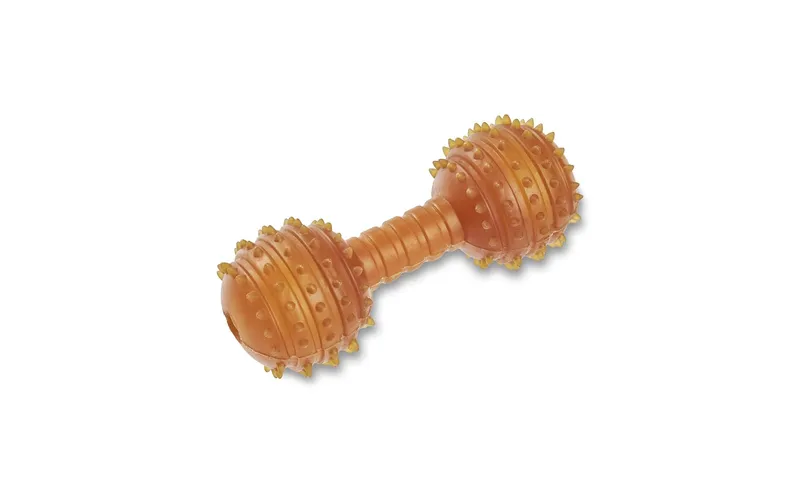 Wolters Hunde-Spielzeug Pure naturele Dental Hantel, L, 14.5 cm