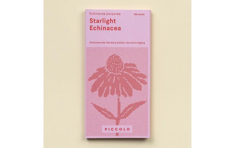 Gorilla Gardening Purpursonnenhut Starlight mehrjährig