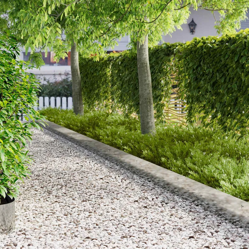 Bordure de Pelouse 30 pc 103 x 25 cm Acier Argenté