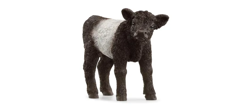 Schleich Spielzeugfigur Farm World Galloway Kalb