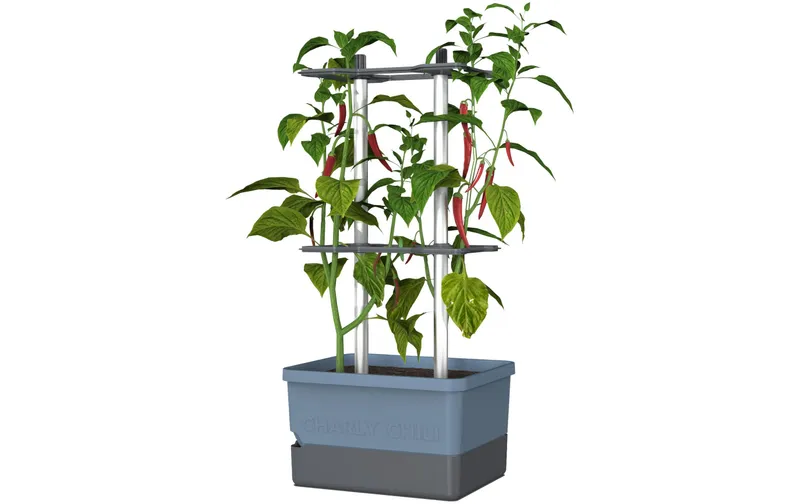 Gusta Garden Pflanzentopf CHARLY CHILI Starterset, Blau