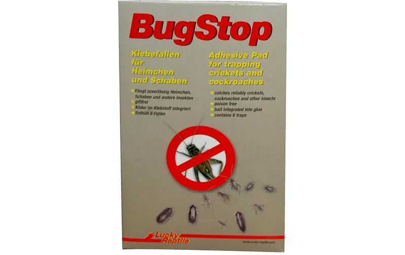 Lucky Reptile Bug Stop Heimchen Klebefalle, 6 Stück