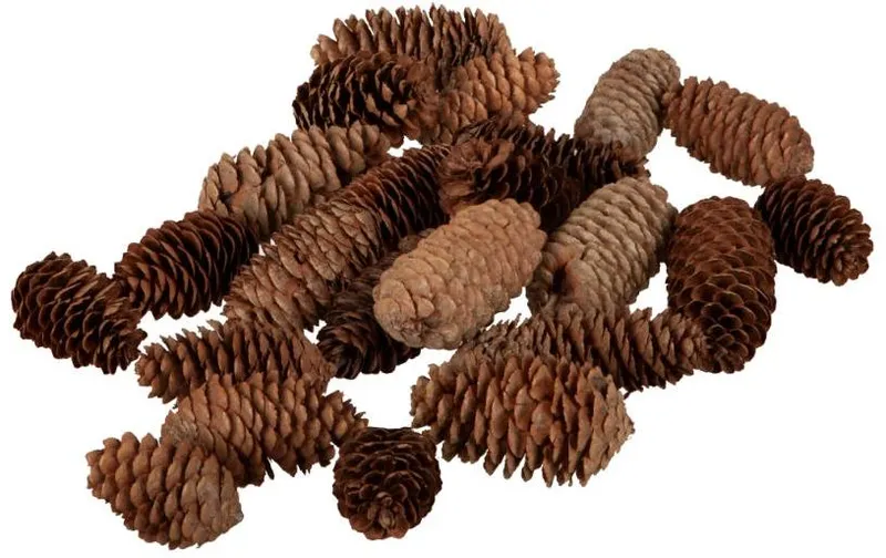 Dekomat AG Tannenzapfen 200 g 7-10 cm