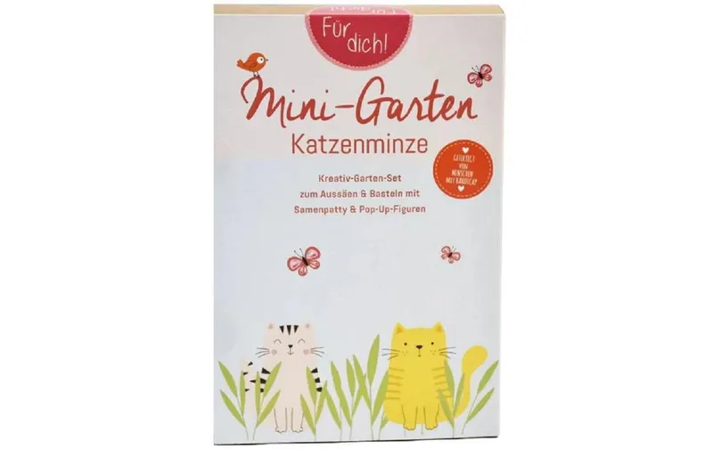 Wunderle Mini-jardin Katzenminze