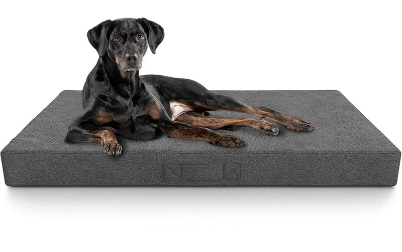 Knuffelwuff Orthopädische inkontinenz Hundematte Lenie XL, Grau