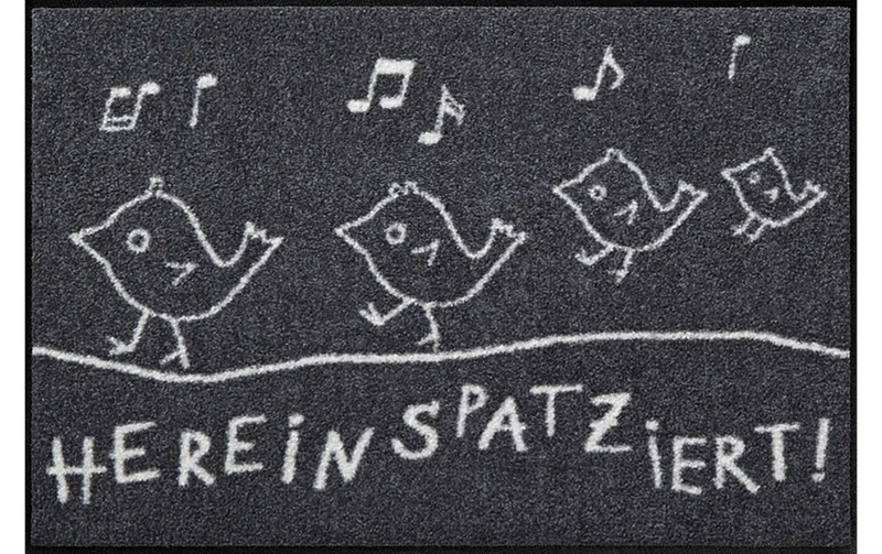 Salonlöwe Fussmatte Hereinspatziert 50 cm x 75 cm
