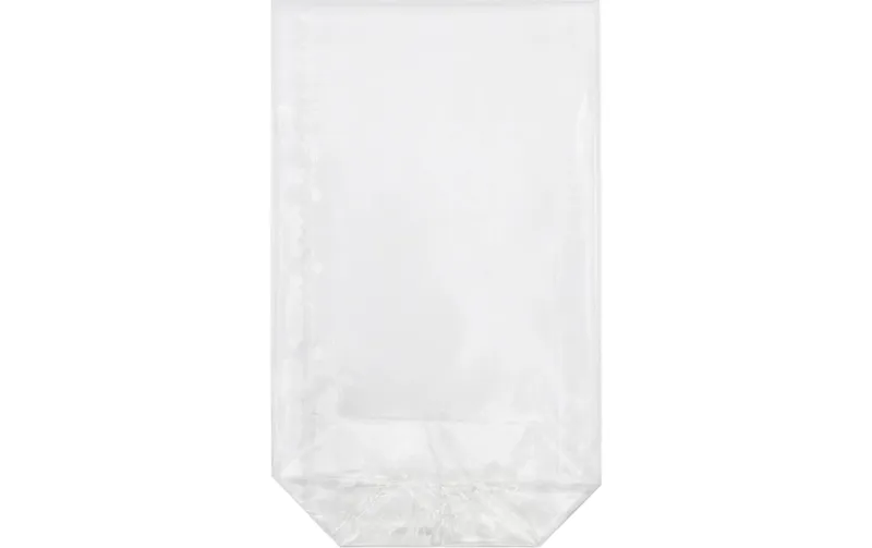 brun + Company Klarsichttüte 11.5 x 19 cm, 100 pièces, transparent