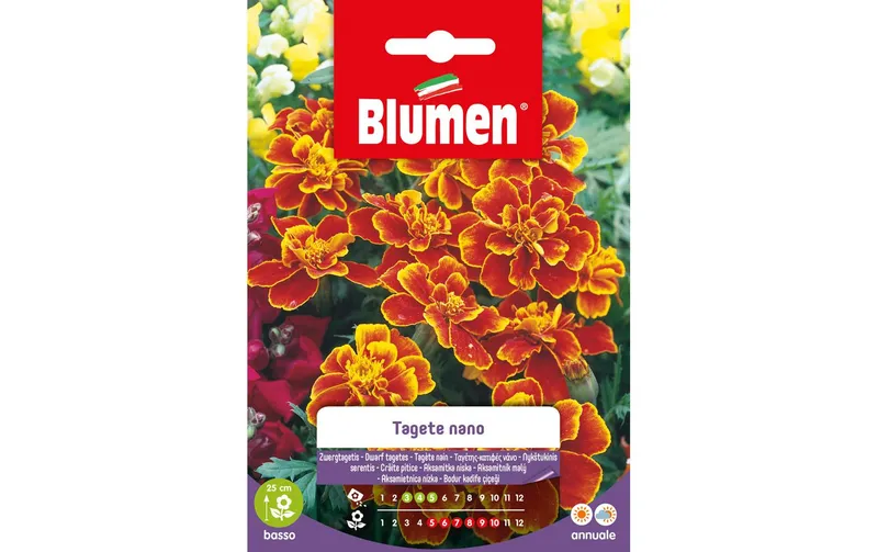 Blumen Saatgut Zwergtagetes Marietta