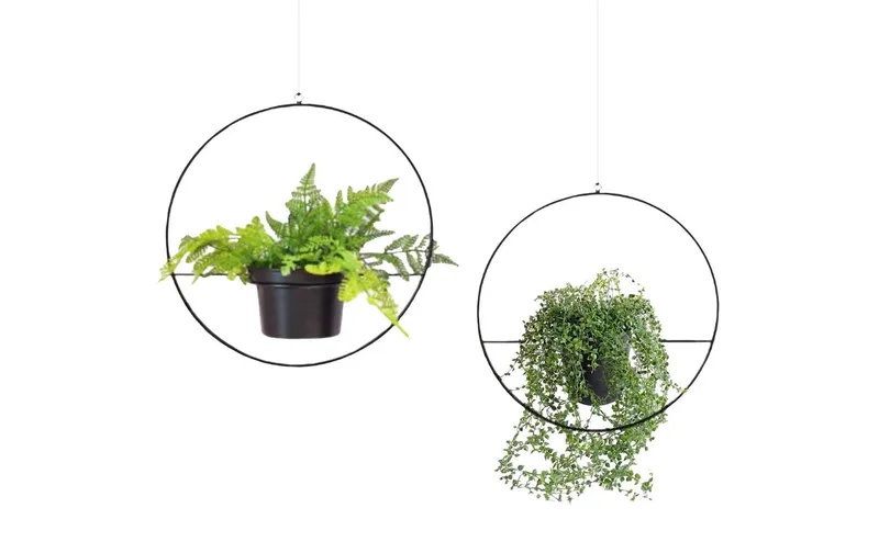 Wallxpert Blumenampel 2-er Set, noir