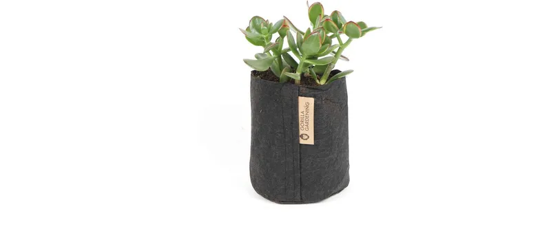 Gorilla Gardening Pflanzsack nero