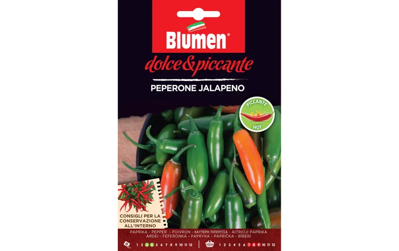 Blumen Samen Paprika Jalapeno