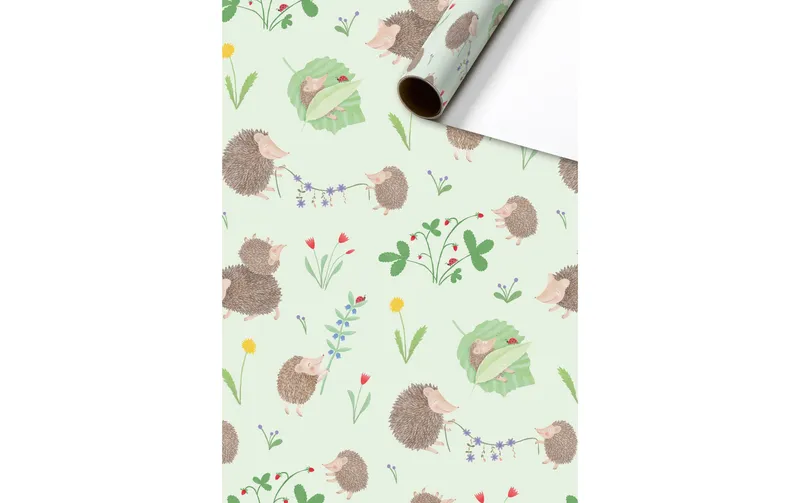 Stewo Geschenkpapier Riccio 70 cm × 2 m, 80 g/m², 1 Stück, Grün