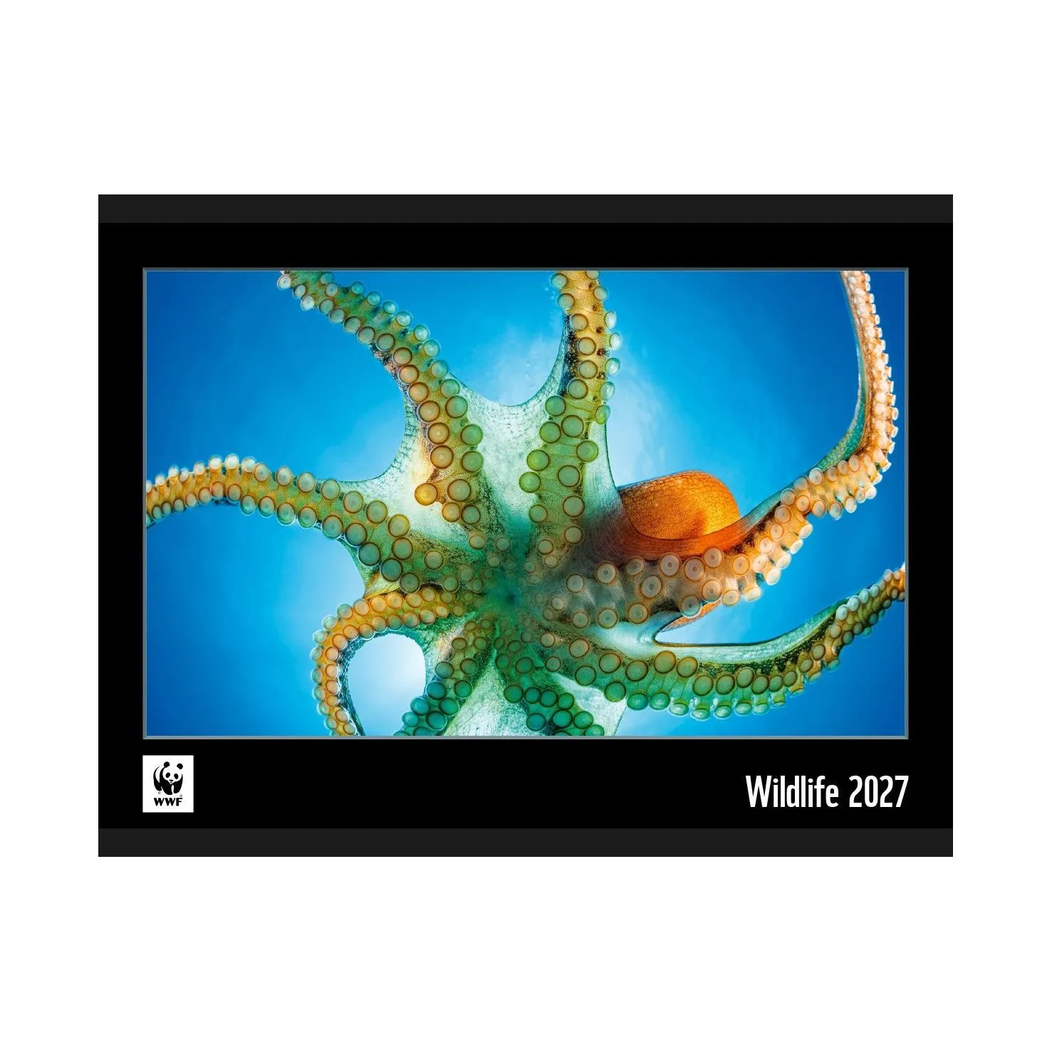 Calendaria Wildlife 34 x 48 cm