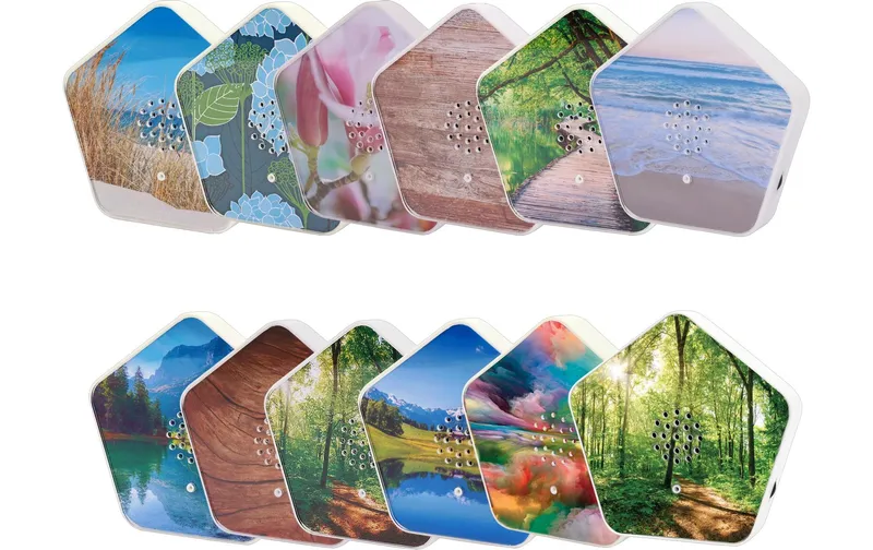 OLYMP Sounds of naturale Box 6 pieces mit 4 Klängen und je 12 Motiven