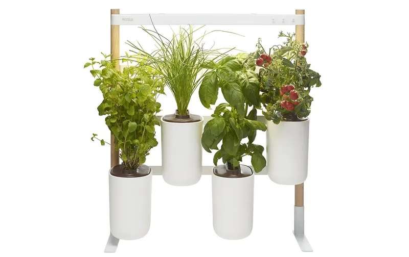 Prêt à Pousser Kräutertopf Indoor Modulo 2 Weiss