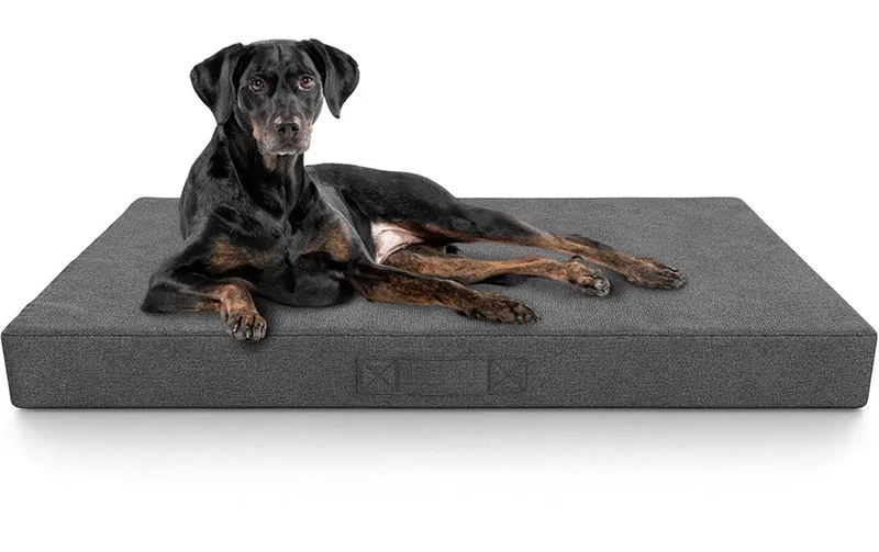 Knuffelwuff Orthopädische inkontinenz Hundematte Lenie L, gris