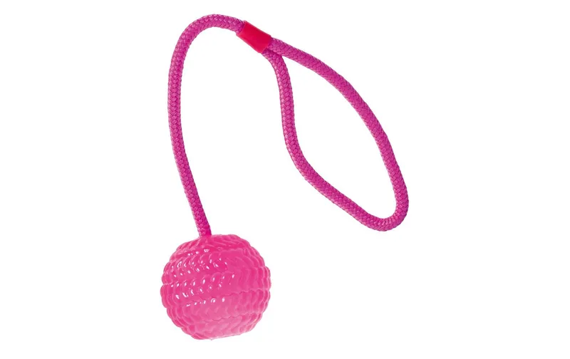 SwissPet Hunde-Spielzeug Ball avec Wurfseil, Ø 7 cm, Pink