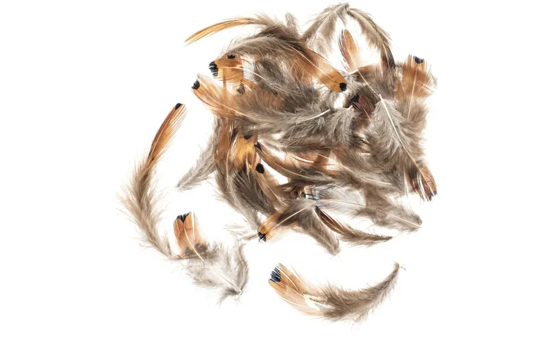 Glorex Federn Fasan 5-12 cm, 10g, marrone