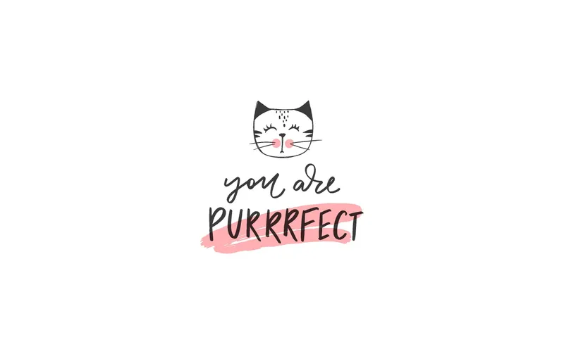 Paper + Design Taschentücher Purrrfect 10 Stück