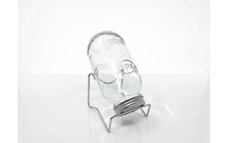 Gorilla Gardening Keimsprossenverre 500 ml avec acier inoxydablegestell et Saatgut