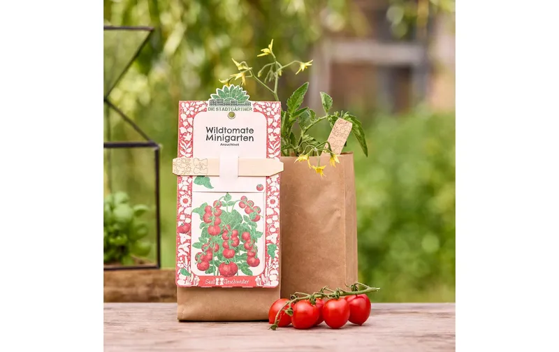 la Stadtgärtner Anzuchtset Wildtomate