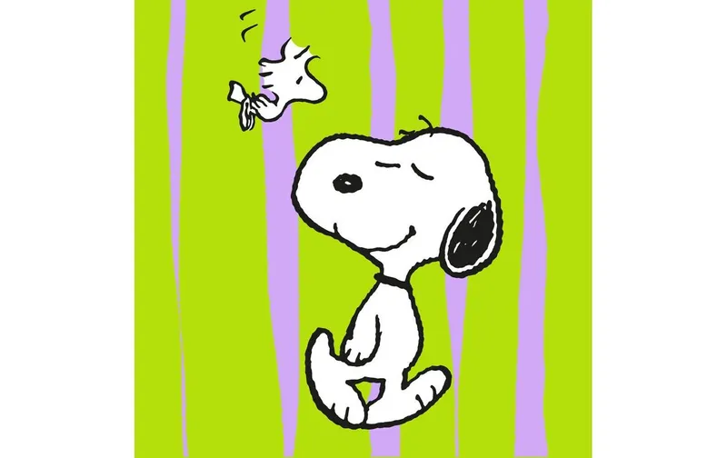 marrone + Company Snoopy verde 20 pezzi